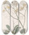 Triptych art skateboard deck of Sydenham Edwards Mr Fortunes Sealavender by Sydenham Edwards (1768-1819)