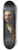 Follower of Rembrandt van Rijn - Christ with a Staff 8.25 inch art skate deck