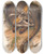 Triptych art skateboard deck of John Gould The Mammals Of Australia Pl079 by John Gould (1804-1881)