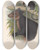 Triptych art skateboard deck of John Gould The Mammals Of Australia Pl085 by John Gould (1804-1881)