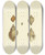 Triptych art skateboard deck of James Sowerby The Mineral Conchology Of Great Britain Pl496 by James Sowerby (1757-1822)