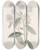 Triptych art skateboard deck of Sydenham Edwards Paleflowered Ceanothus by Sydenham Edwards (1768-1819)