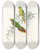 Triptych art skateboard deck of John Gould The Birds Of New Guinea And The Adjacent Papuan Islands Pl17 by John Gould (1804-1881)