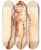 Triptych art skateboard deck of Cornelis Pronk Beeld Van Commodus Als Hercules_1 by Cornelis Pronk (1691-1759)
