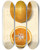 Triptych art skateboard deck of Amanda Almira Newton Citrus Sinensis Valencia_1 by Amanda Almira Newton (1860-1943) Triptych art skateboard deck of Amanda Almira Newton Citrus Sinensis Valencia_1 by Amanda Almira Newton (1860-1943)