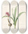 Triptych art skateboard deck of Pierre Joseph Redout Les Liliacees Pl46 by Pierre Joseph Redoute (1759-1840)