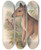 Triptych art skateboard deck of John Gould The Mammals Of Australia Pl087 by John Gould (1804-1881)