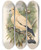 Triptych art skateboard deck of John Gould The Birds Of New Guinea And The Adjacent Papuan Islands Pl66 by John Gould (1804-1881)