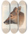 Triptych art skateboard deck of John Gould The Mammals Of Australia Pl157 by John Gould (1804-1881)