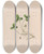Triptych art skateboard deck of John Stevens Henslow Lily Of The Valley by John Stevens Henslow (1796-1861)