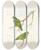 Triptych art skateboard deck of John Gould The Birds Of New Guinea And The Adjacent Papuan Islands Pl51 by John Gould (1804-1881)