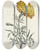 Triptych art skateboard deck of Carington Bowles African by Carington Bowles (1724-1793)
