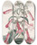 Triptych art skateboard deck of Sydenham Edwards Transparent Gentianlike Pentstemon by Sydenham Edwards (1768-1819)