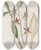 Triptych art skateboard deck of Sydenham Edwards Wingfruited Epidendrum by Sydenham Edwards (1768-1819)