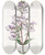 Triptych art skateboard deck of Sydenham Edwards Glaucous Pentstemon by Sydenham Edwards (1768-1819)