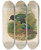 Triptych art skateboard deck of Daniel Giraud Elliot A Monograph Of The Pittid Or Family Of Antthrushes Pl43 by Daniel Giraud Elliot (1835-1915)