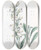 Triptych art skateboard deck of Sydenham Edwards Parched Pentstemon by Sydenham Edwards (1768-1819)
