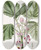 Triptych art skateboard deck of Sydenham Edwards Diandrous Martynia by Sydenham Edwards (1768-1819)