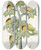 Triptych art skateboard deck of Sydenham Edwards Greenflowered Cowlwort by Sydenham Edwards (1768-1819)