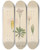 Triptych art skateboard deck of William Jackson Hooker Primula Pusilia by William Jackson Hooker (1785-1865)