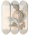 Triptych art skateboard deck of John Gould The Mammals Of Australia Pl082 by John Gould (1804-1881)