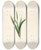 Triptych art skateboard deck of Pierre Joseph Redout Les Liliacees Pl12 by Pierre Joseph Redoute (1759-1840)