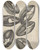 Triptych art skateboard deck of Robert Hooke Microscopic View Of Seeds Of Venus Lookingglass Or Corn Violet by Robert Hooke (1635-1703)