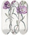 Triptych art skateboard deck of Sydenham Edwards Large Purple Chilian Evening Primrose by Sydenham Edwards (1768-1819)