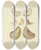 Triptych art skateboard deck of James Sowerby The Mineral Conchology Of Great Britain Pl131 by James Sowerby (1757-1822)