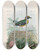 Triptych art skateboard deck of Daniel Giraud Elliot A Monograph Of The Pittid Or Family Of Antthrushes Pl20 by Daniel Giraud Elliot (1835-1915)
