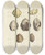 Triptych art skateboard deck of James Sowerby The Mineral Conchology Of Great Britain Pl519 by James Sowerby (1757-1822)