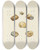 Triptych art skateboard deck of James Sowerby The Mineral Conchology Of Great Britain Pl471 by James Sowerby (1757-1822)