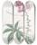 Triptych art skateboard deck of Sydenham Edwards Shewy Cleome by Sydenham Edwards (1768-1819)