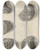 Triptych art skateboard deck of Robert Hooke Microscopic View Of Seeds Of Poppy by Robert Hooke (1635-1703)