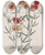 Triptych art skateboard deck of Sydenham Edwards Changeable Gompholobium by Sydenham Edwards (1768-1819)