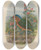 Triptych art skateboard deck of Daniel Giraud Elliot A Monograph Of The Pittid Or Family Of Antthrushes Pl08 by Daniel Giraud Elliot (1835-1915)
