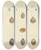 Triptych art skateboard deck of James Sowerby The Mineral Conchology Of Great Britain Pl323 by James Sowerby (1757-1822)