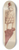 Frances Cohen - Figurehead from Union 8.25 inch art skate deck