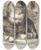 Triptych art skateboard deck of August Alleb Allerafgrijselijkste Inspanning Van Een Marmot Bij Het Leren Lezen by August Allebe (1838-1927)