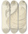 Triptych art skateboard deck of James Sowerby The Mineral Conchology Of Great Britain Pl522 by James Sowerby (1757-1822)