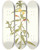 Triptych art skateboard deck of Nikolaus Joseph Freiherr Von Jacquin Oenothera Nocturna by Nikolaus Joseph Freiherr Von Jacquin (1727-1817)