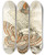 Triptych art skateboard deck of James Duncan Angerona Prunaria Alcis Scolopacea by James Duncan (1806-1881)