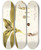 Triptych art skateboard deck of Nikolaus Joseph Freiherr Von Jacquin Melanthium Eucomoides by Nikolaus Joseph Freiherr Von Jacquin (1727-1817)