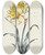 Triptych art skateboard deck of Carington Bowles Double Daffodill by Carington Bowles (1724-1793)