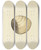 Triptych art skateboard deck of James Sowerby The Mineral Conchology Of Great Britain Pl140 by James Sowerby (1757-1822)