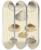 Triptych art skateboard deck of James Sowerby The Mineral Conchology Of Great Britain Pl469 by James Sowerby (1757-1822)