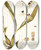 Triptych art skateboard deck of Nikolaus Joseph Freiherr Von Jacquin Epidendrum Cochleatum by Nikolaus Joseph Freiherr Von Jacquin (1727-1817)