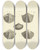 Triptych art skateboard deck of James Sowerby The Mineral Conchology Of Great Britain Pl575 by James Sowerby (1757-1822)