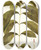 Triptych art skateboard deck of Nikolaus Joseph Freiherr Von Jacquin Justicia Bracteolata by Nikolaus Joseph Freiherr Von Jacquin (1727-1817)
