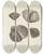 Triptych art skateboard deck of James Sowerby The Mineral Conchology Of Great Britain Pl542 by James Sowerby (1757-1822)